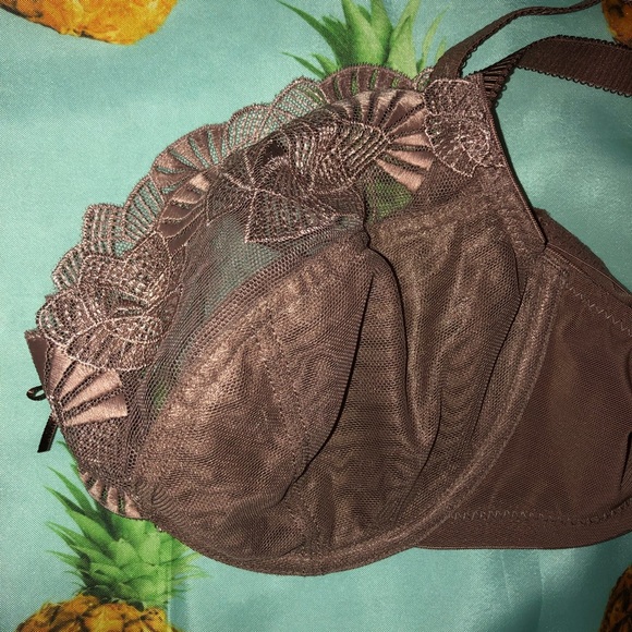 Panache Superbra Loretta in Brown 34DDD - Picture 3 of 5